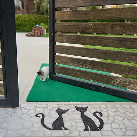 Eva Appart hôtel Golem (Tirana)