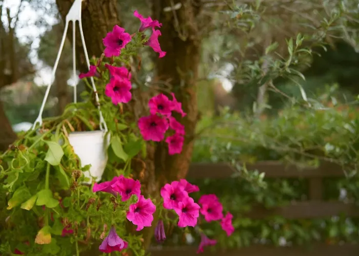 아파트호텔 Eva 4*