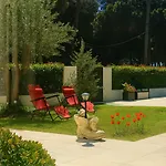 Aparthotel Eva
